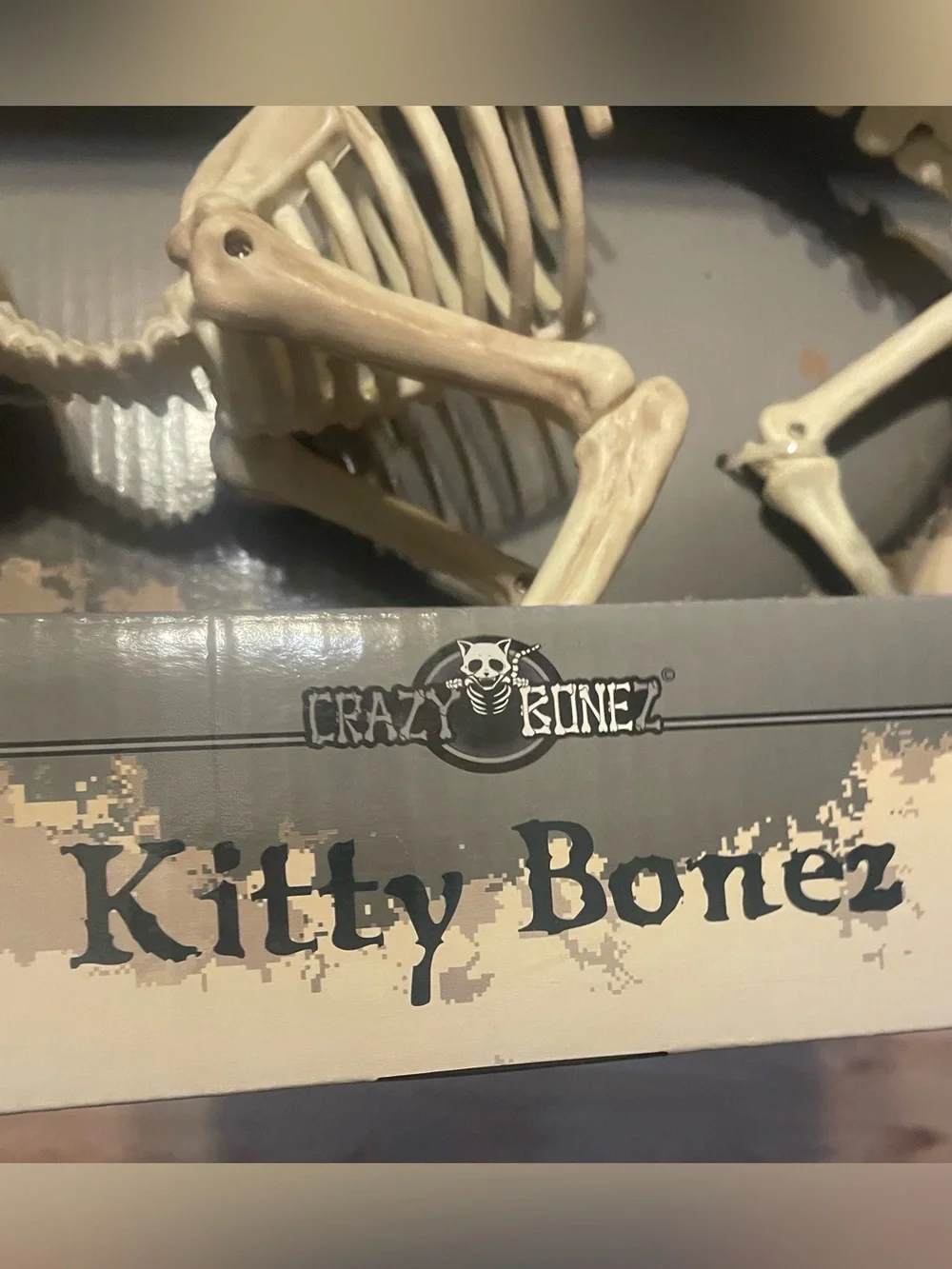 Kitty Bonez Skeleton Cat Halloweem skulls New